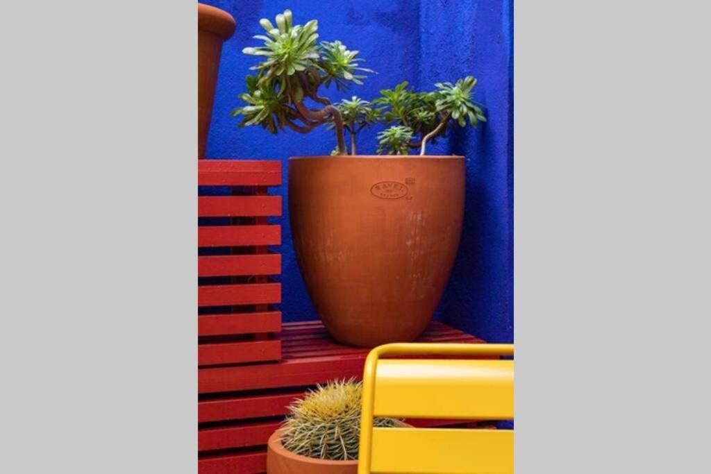 Appartement 5*, Climatise, Avec Terrasse Au Quartier Le Panier Marseille Luaran gambar